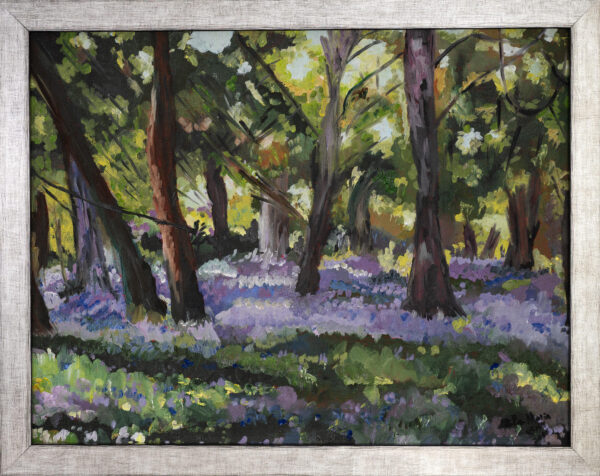 Sussex Bluebell Walk