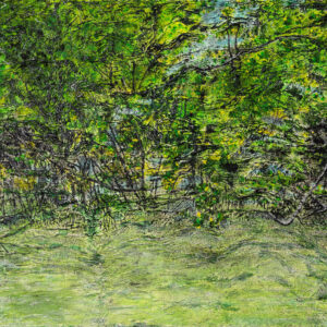 Mangroves Abstract