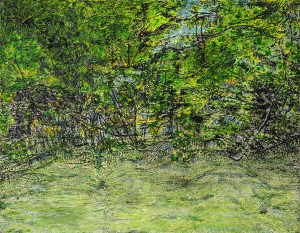 Mangroves Abstract (cópia)